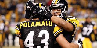 Brandon Polamalu